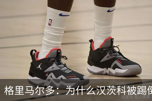 格里马尔多：为什么汉茨科被踢倒但VAR没介入？我们需要一个解释
